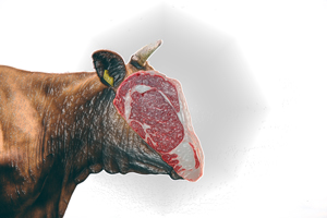 bullish-bull-cattle-stampede-art-satire-comedy-humor