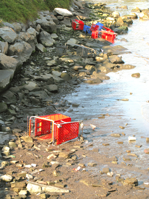 trolley-shopping-cart-beach-sunbathers-art-satire-comedy-humor